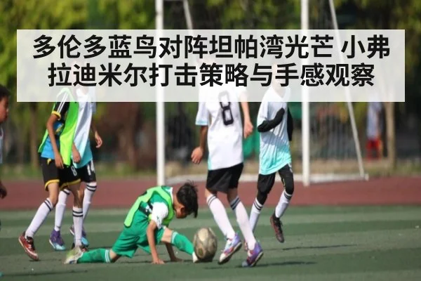 多伦多蓝鸟对阵坦帕湾光芒 小弗拉迪米尔打击策略与手感观察